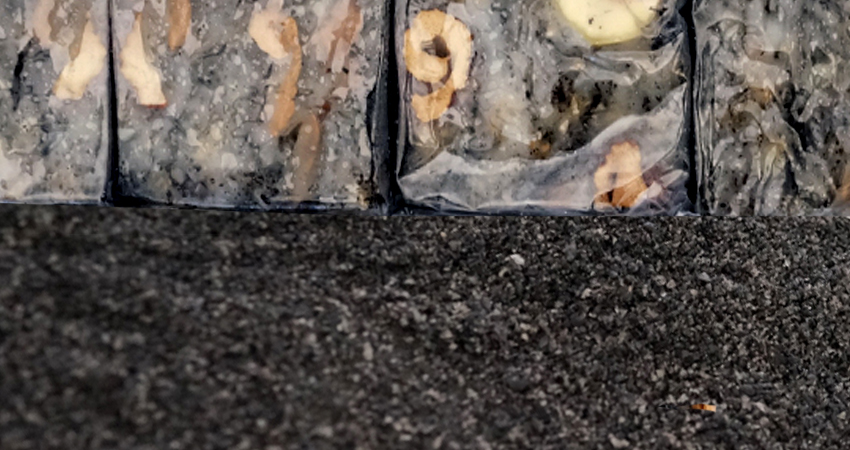 서민갑부떡집 방배동설봄 흑임자인절미/흑임자구름떡 반반세트(중)